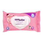 wipes (15)